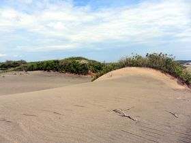 Sand Dunes of Bani